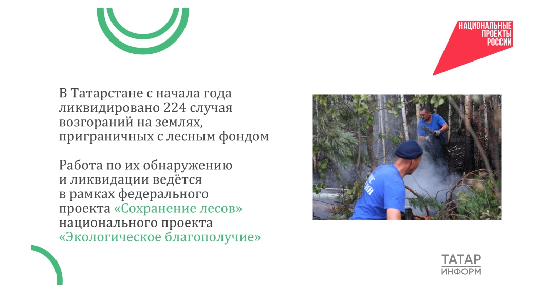 Скрин видео 
