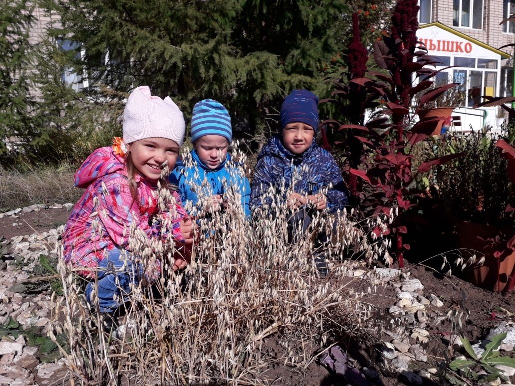 Конкурс «Рекорды осени»: маленькие, да удаленькие садоводы из детского сада «Зернышко»
