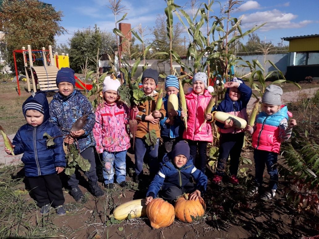 Конкурс «Рекорды осени»: маленькие, да удаленькие садоводы из детского сада «Зернышко»