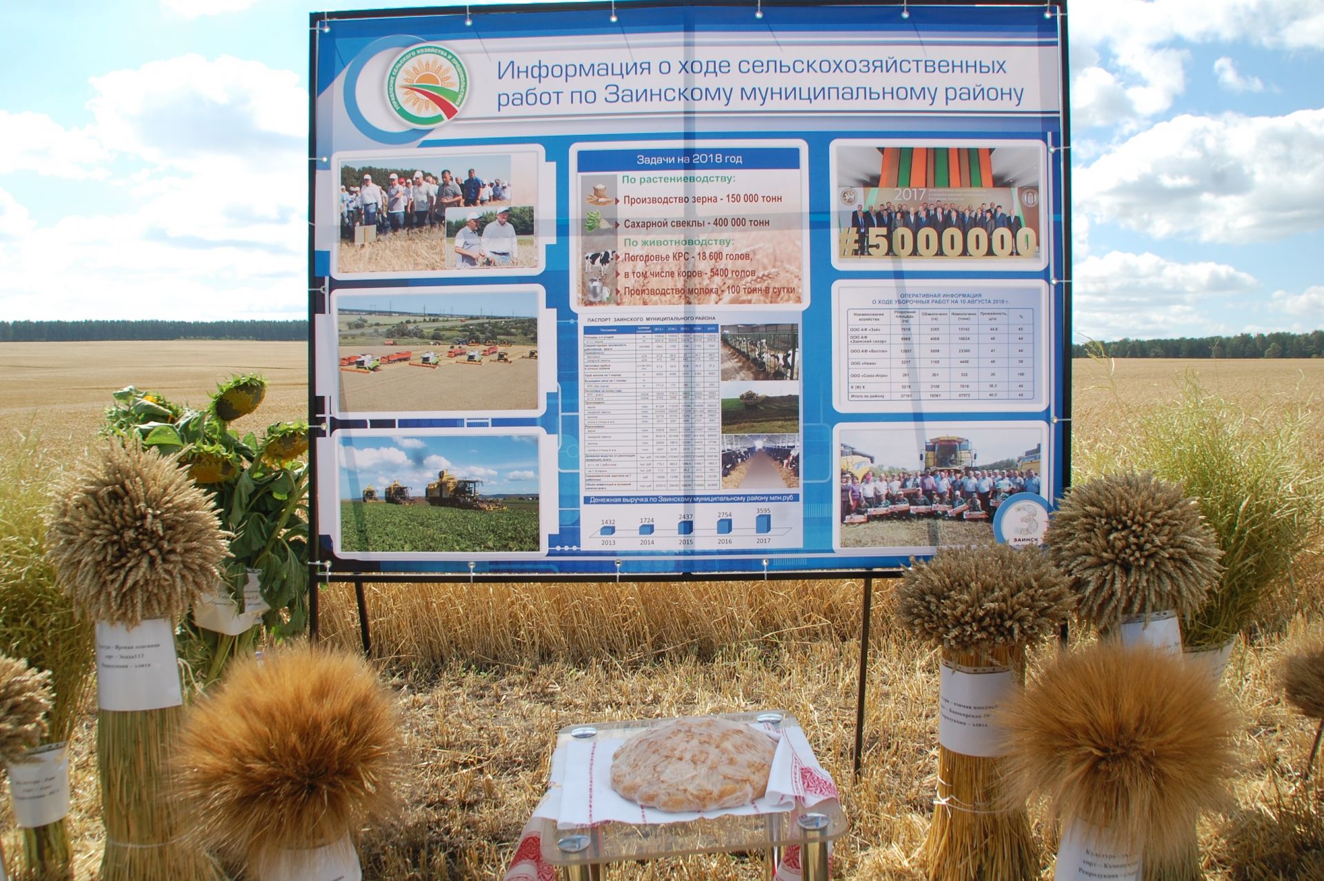 Рустам Минниханов: «Радуют позитивные результаты заинцев в растениеводстве»