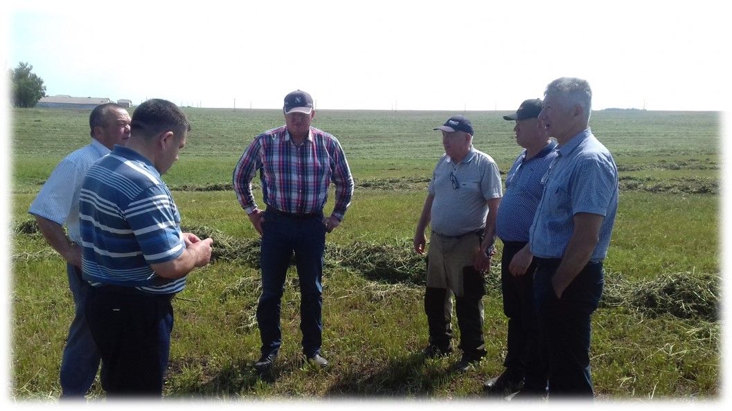 Глава Заинского района ознакомился с работой сельхозформирований