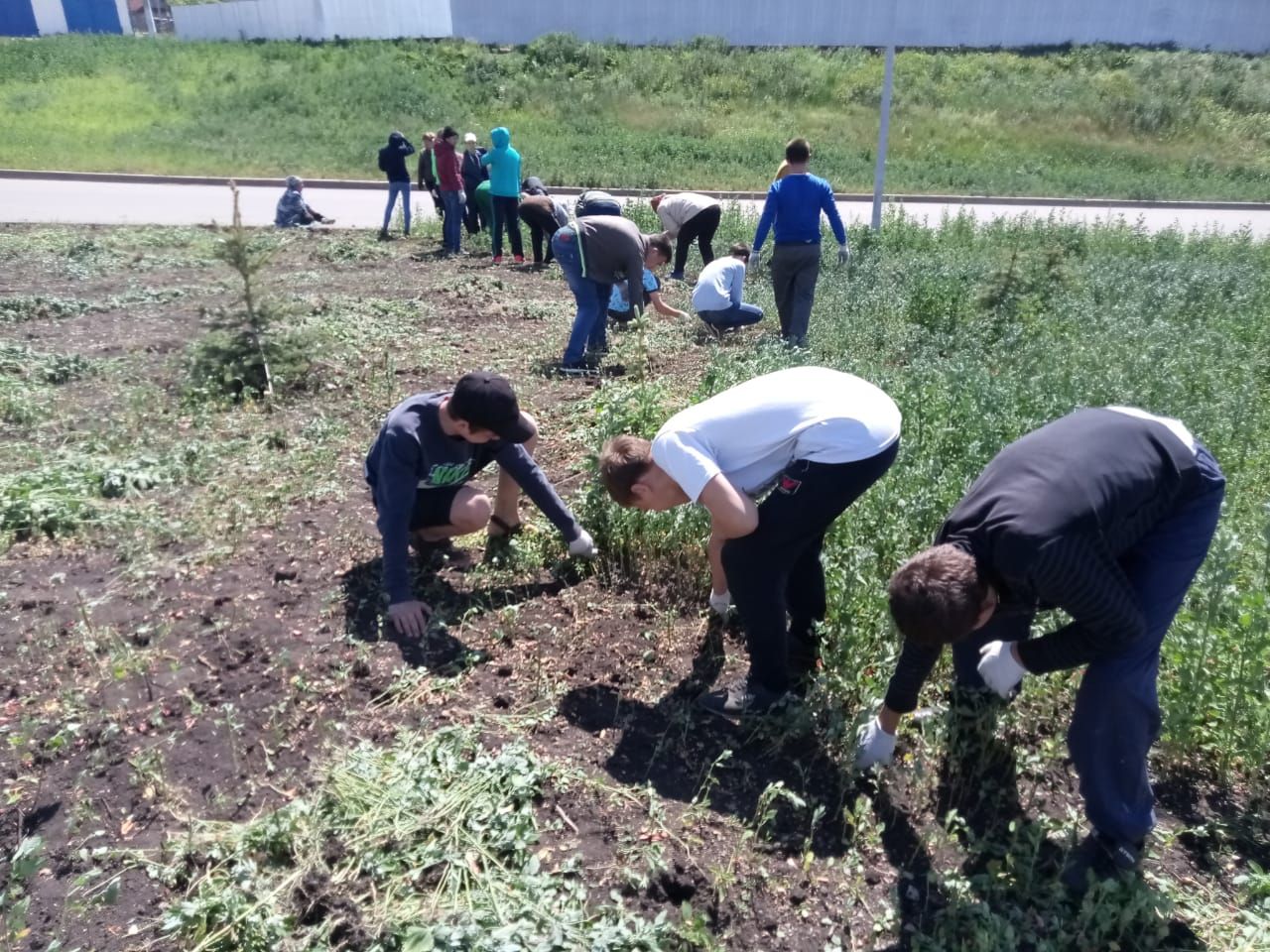 Более 10 заинских подростков выбрали на лето работу озеленителя