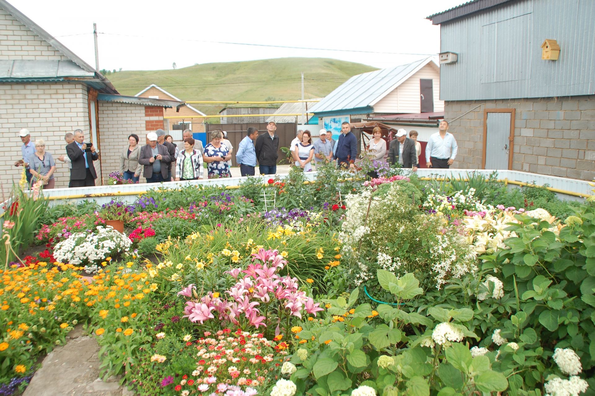 Семья из Заинского района выращивает более 50 сортов цветов