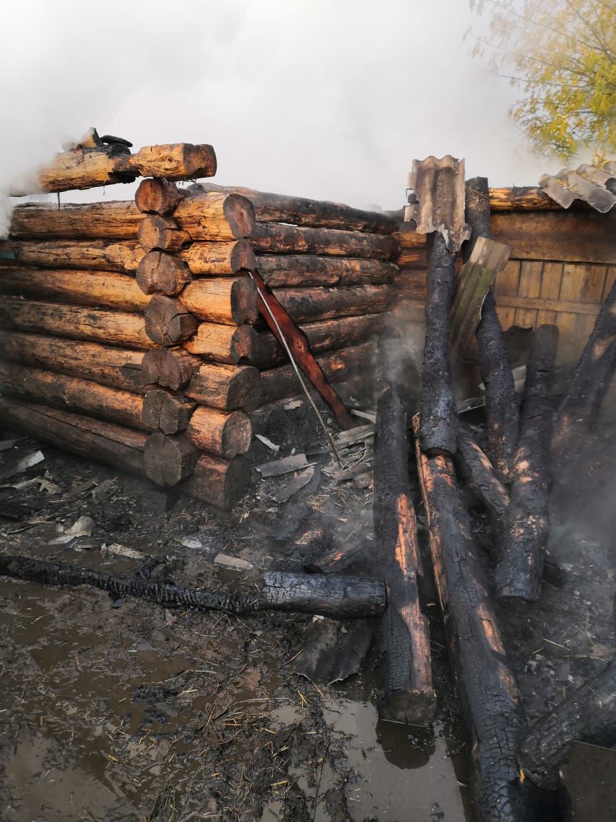 В Заинском районе произошло сразу несколько пожаров