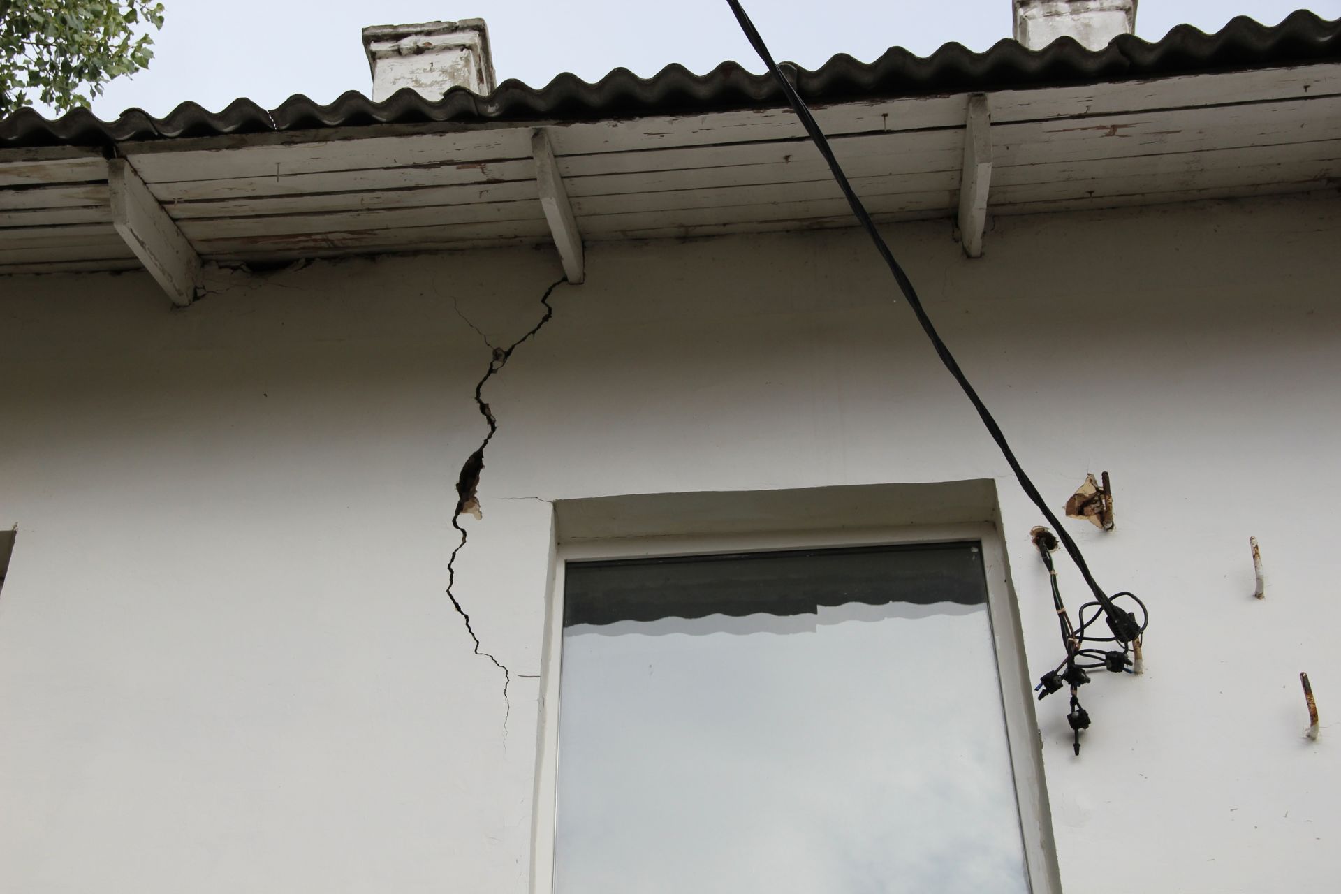 Фанида Ашрапова: «Дерево разрушает мой дом»