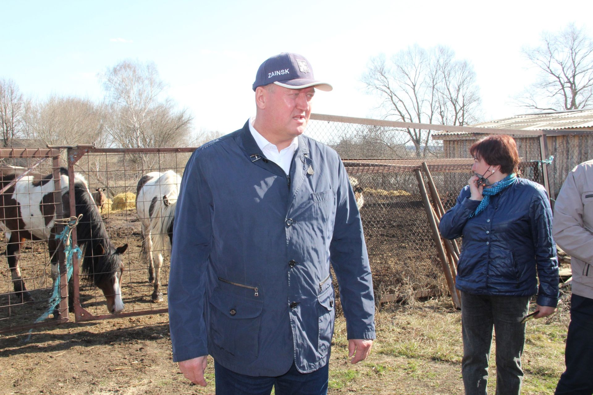 Заинский фермер Сергей Михайлов разводит коров, быков и лошадей