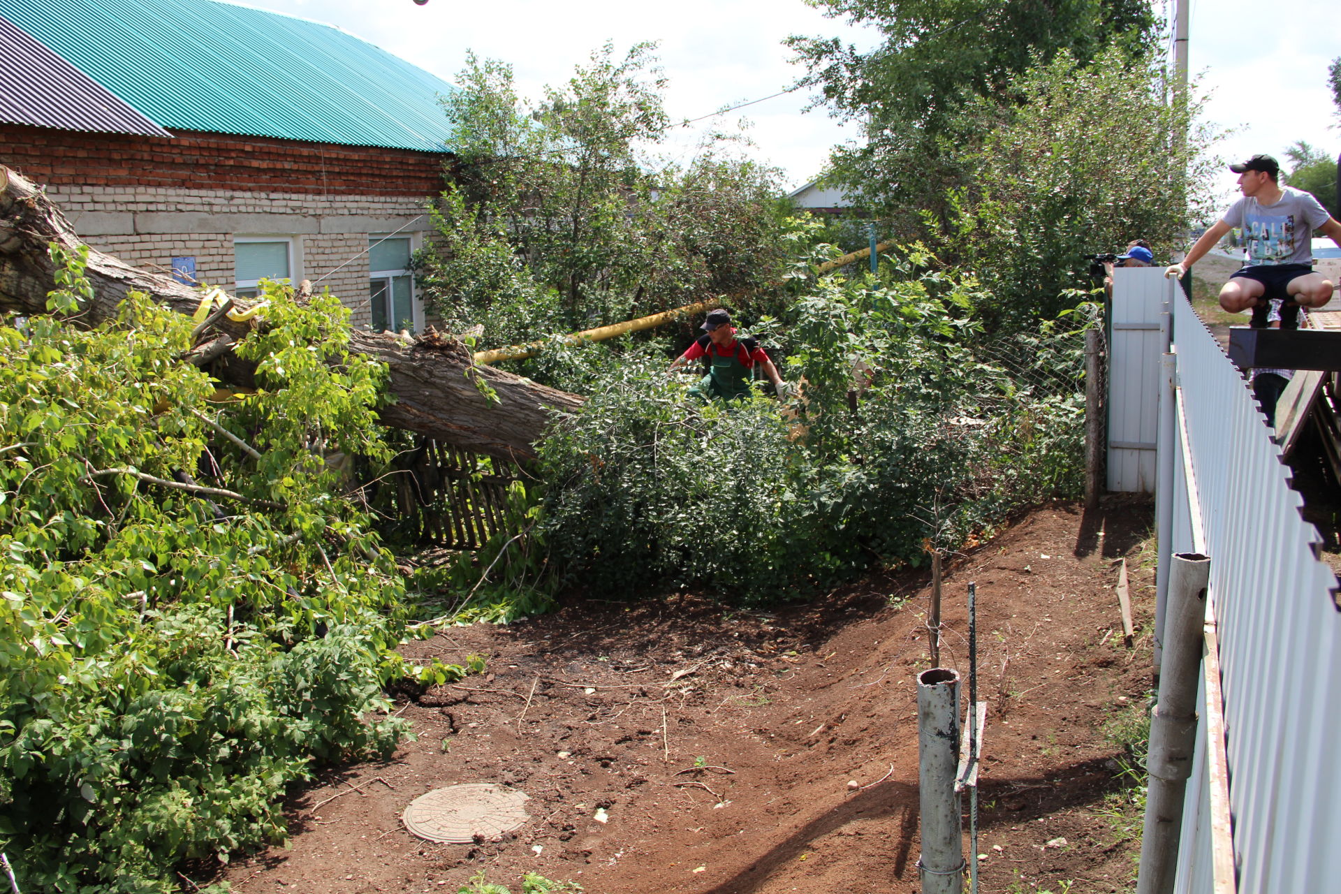 Десятки поваленных деревьев оставил после себя в Заинске ураганный ветер
