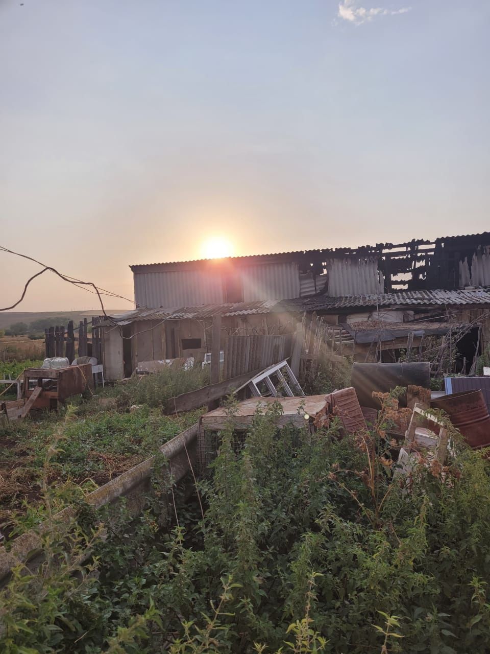 Пожары в Заинске: сгорела кровля, вспыхнула трава и камыши