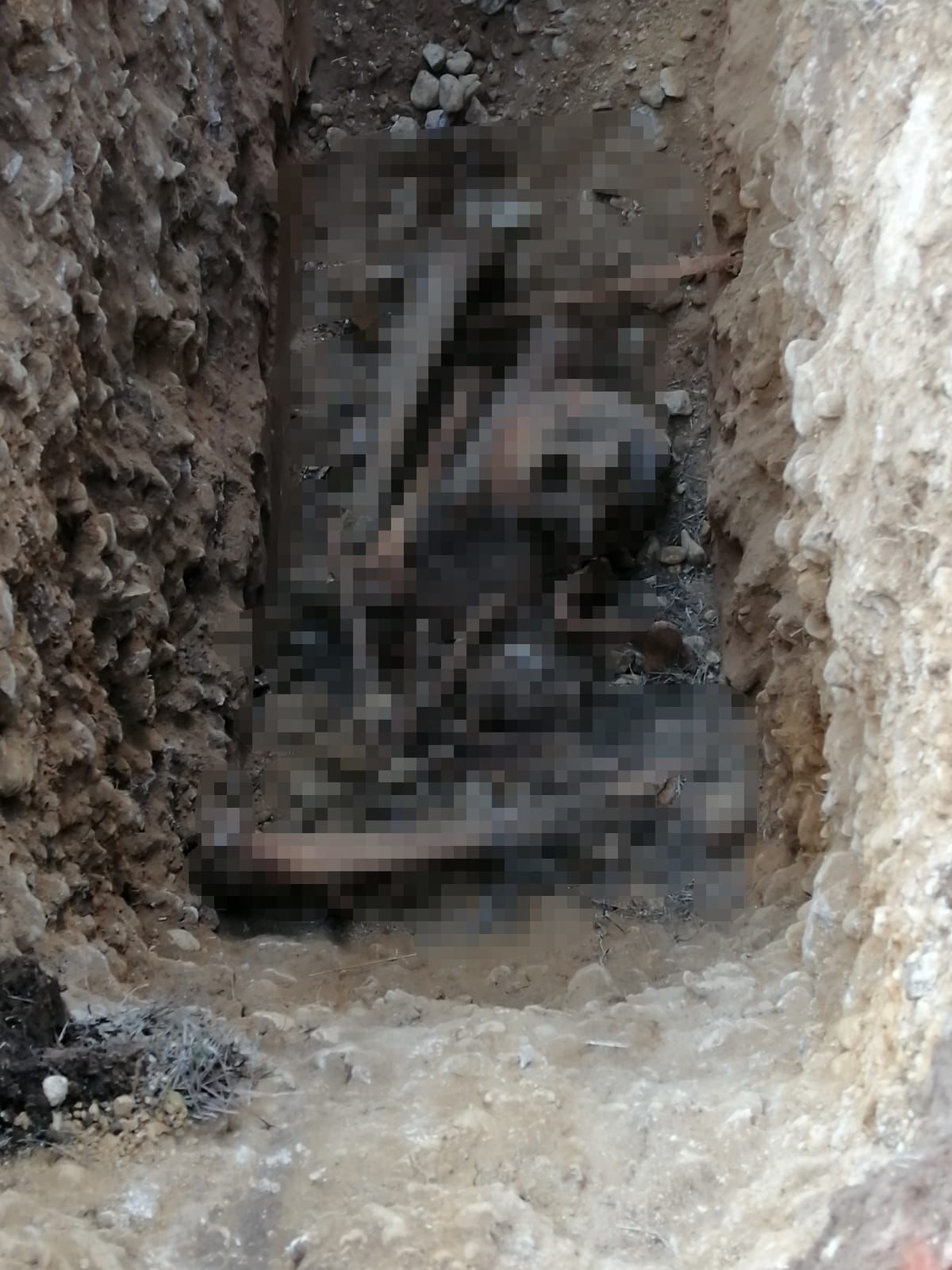 В Заинском районе при замене водопровода были обнаружены человеческие останки
