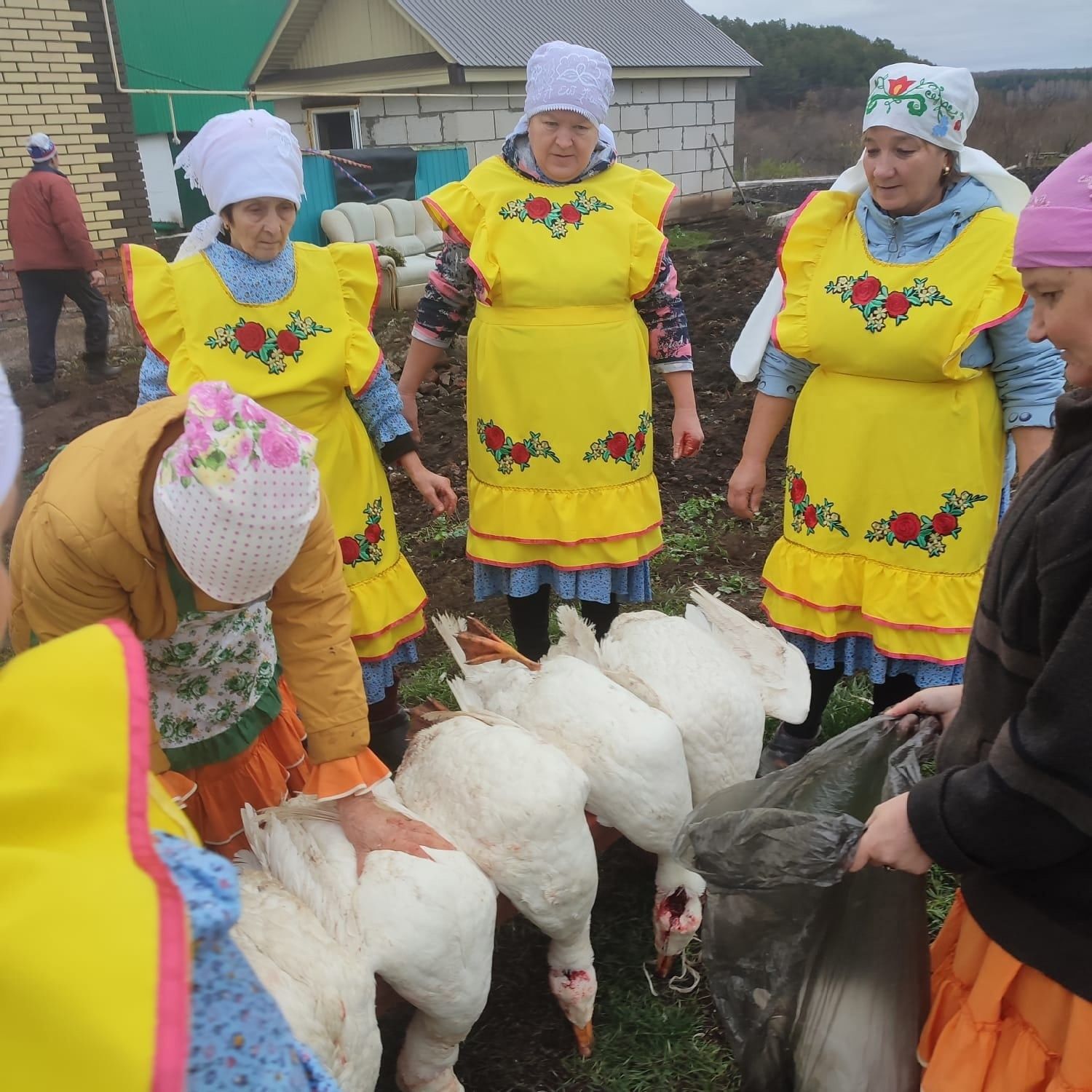 В заинском селе провели праздник гусиного пера