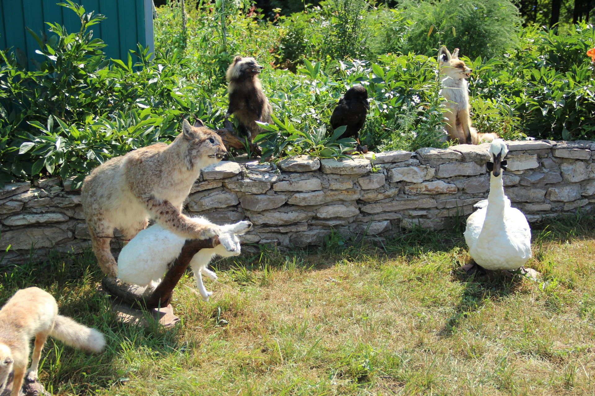 Лечение природой и общением: для заинских детей провели традиционный «День радости»