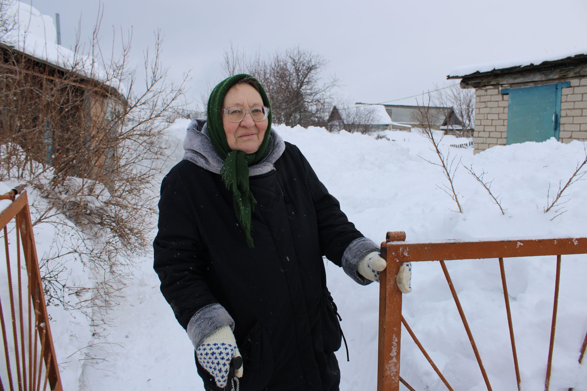 Заинская молодежь помогает пенсионерам в уборке снега