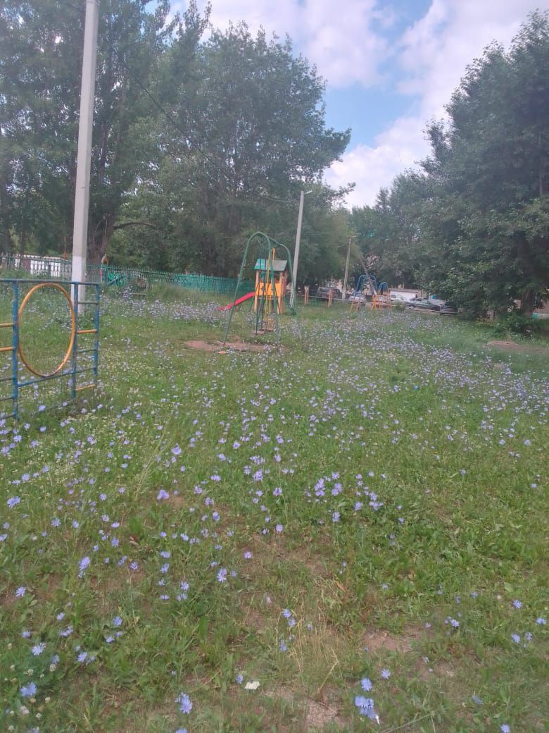 Когда благоустроят детскую площадку?