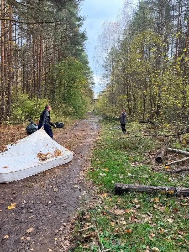 Сотрудники Татэнерго высадили деревья и убрали лес
