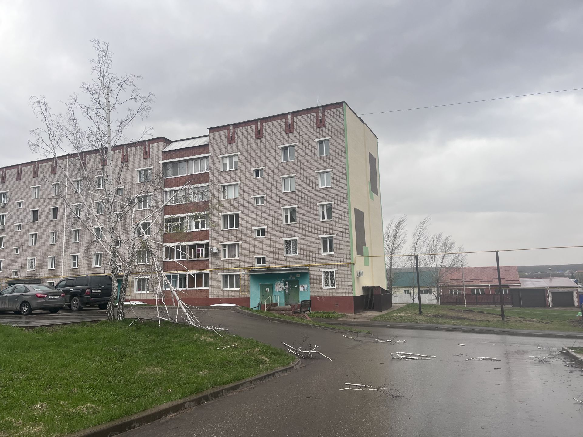 В Заинске сильный ветер повалил ветви дерева во дворе жилых домов