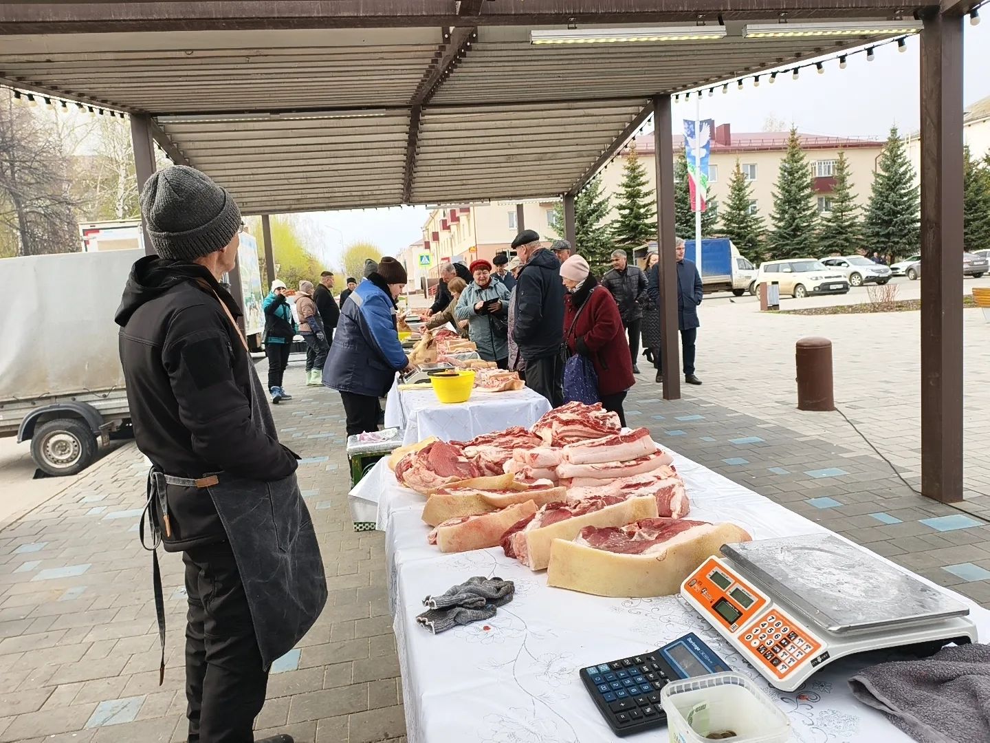 В Заинске с песнями и саженцами прошла последняя ярмарка сезона