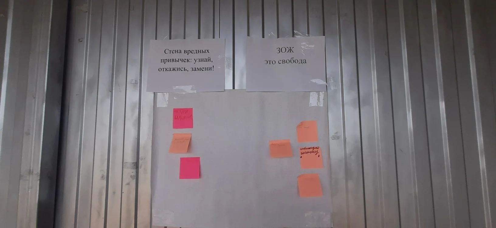 В Заинском районе прошёл фестиваль-конкурс «Вперёд по дороге здоровья»