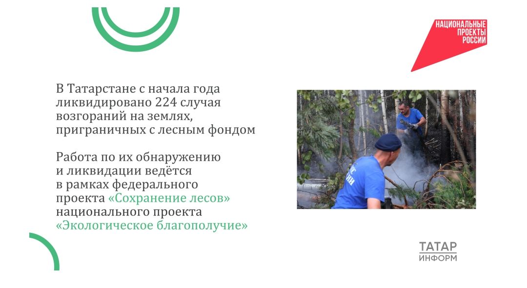 В Татарстане потушили 224 возгорания вблизи лесов, пожаров не допущено