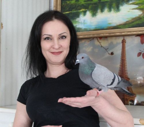 Жительница Заинского района спасает диких птиц, попавших в беду