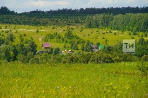 Участники СВО смогут бесплатно получить земельный участок в Татарстане