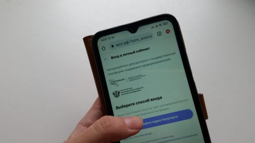 Татарстанские предприниматели чаще других пользуются цифровой платформой МСП.РФ
