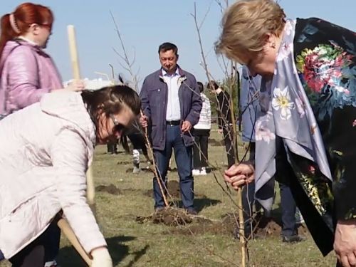 Зәйдә «Укытучылар аллеясы» барлыкка килде