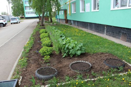 Жительница заинского многоквартирного дома ухаживает за уличной клумбой