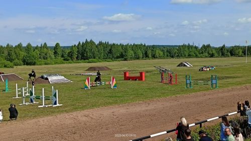 Стали известны подробности с конных скачек