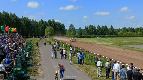 Стали известны подробности с конных скачек
