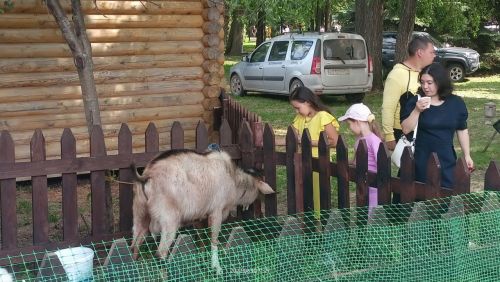На юбилейный Сабантуй в Заинский район приехали почетные гости