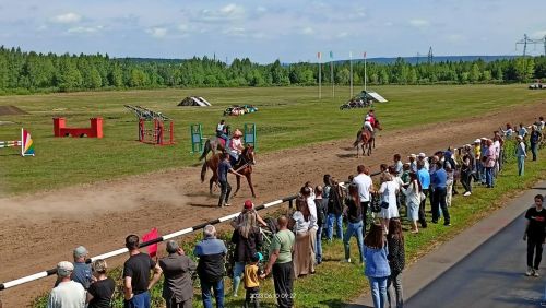 Стали известны подробности с конных скачек