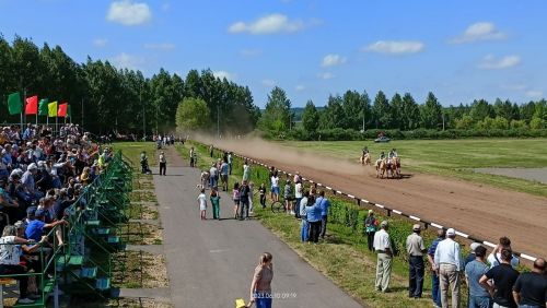 Стали известны подробности с конных скачек