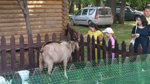 На юбилейный Сабантуй в Заинский район приехали почетные гости