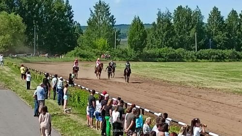 Стали известны подробности с конных скачек