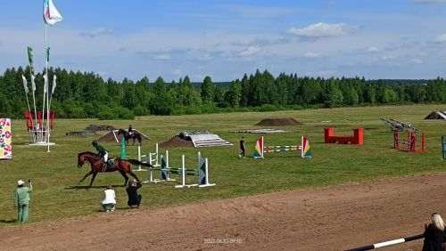 Стали известны подробности с конных скачек