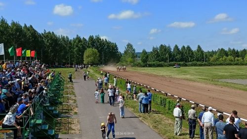 Стали известны подробности с конных скачек