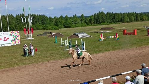Стали известны подробности с конных скачек