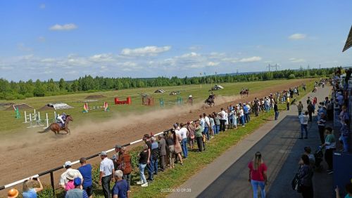 Стали известны подробности с конных скачек