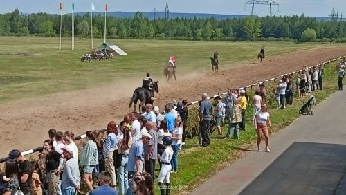 Стали известны подробности с конных скачек