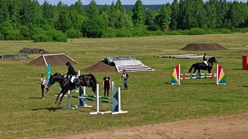 Стали известны подробности с конных скачек