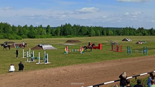 Стали известны подробности с конных скачек