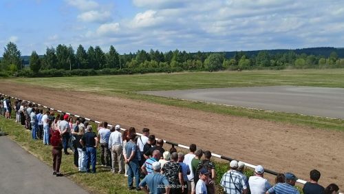 Стали известны подробности с конных скачек