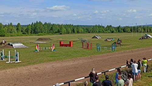 Стали известны подробности с конных скачек