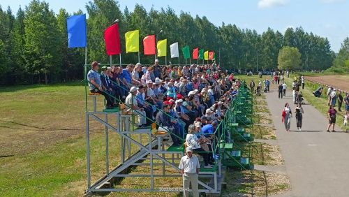 Стали известны подробности с конных скачек