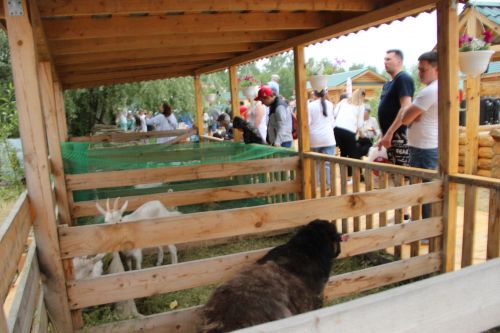 Заинское подворье украсило Сабантуй в Казани