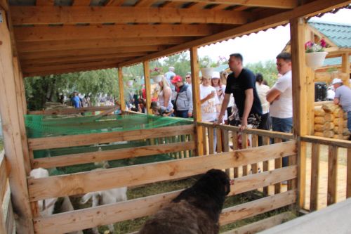 Заинское подворье украсило Сабантуй в Казани