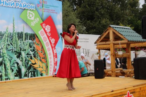 Заинское подворье украсило Сабантуй в Казани