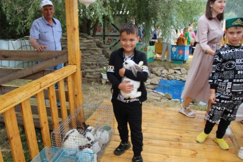Заинское подворье украсило Сабантуй в Казани