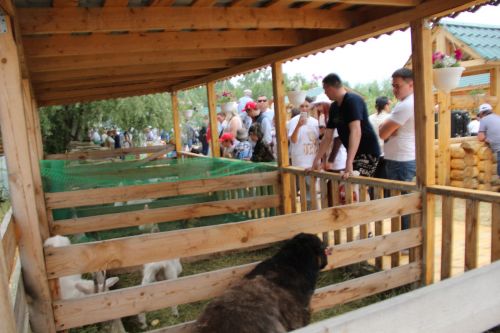 Заинское подворье украсило Сабантуй в Казани