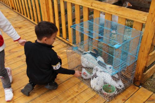 Заинское подворье украсило Сабантуй в Казани